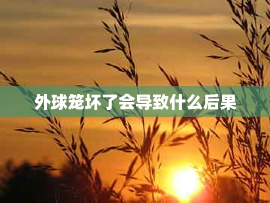 外球笼坏了会导致什么后果