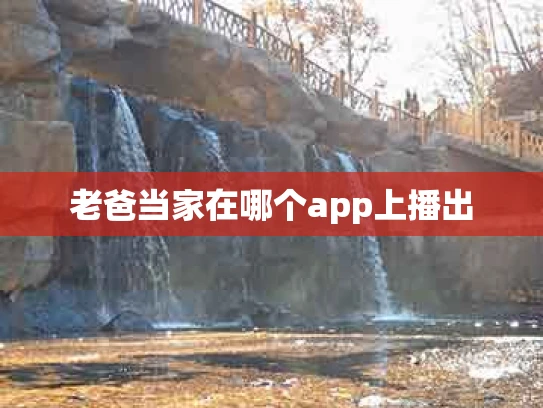 老爸当家在哪个app上播出