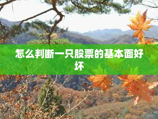 怎么判断一只股票的基本面好坏
