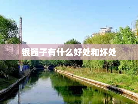 银镯子有什么好处和坏处