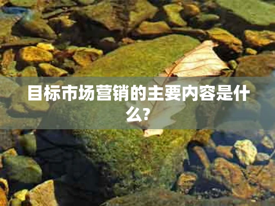 目标市场营销的主要内容是什么?