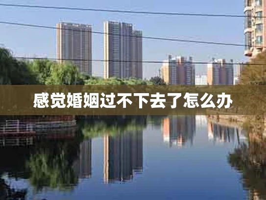 感觉婚姻过不下去了怎么办