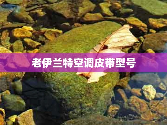 老伊兰特空调皮带型号