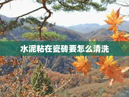 水泥粘在瓷砖要怎么清洗