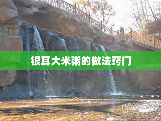 银耳大米粥的做法窍门