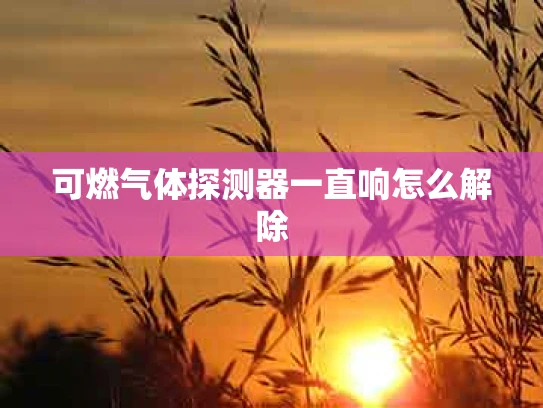 可燃气体探测器一直响怎么解除