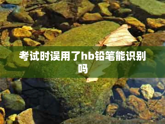 考试时误用了hb铅笔能识别吗