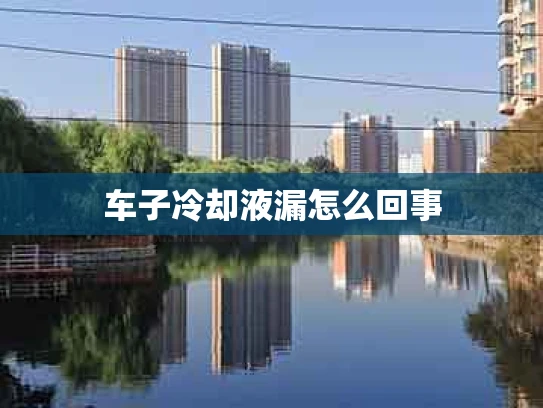 车子冷却液漏怎么回事