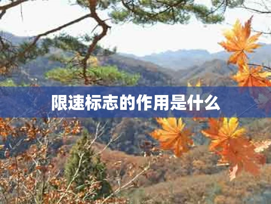 限速标志的作用是什么