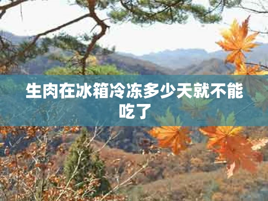 生肉在冰箱冷冻多少天就不能吃了