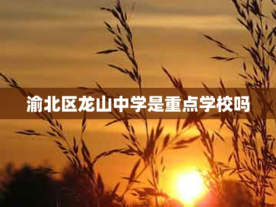 渝北区龙山中学是重点学校吗