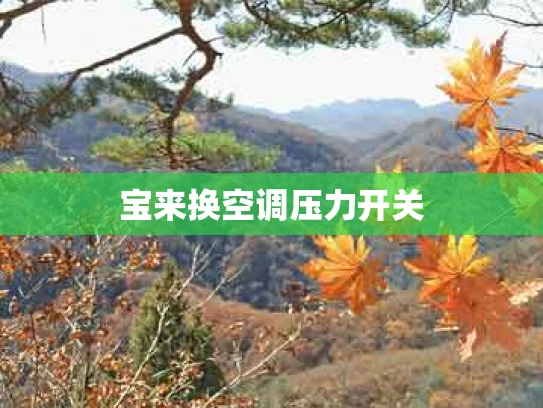 宝来换空调压力开关