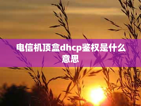 电信机顶盒dhcp鉴权是什么意思