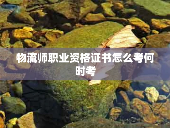 物流师职业资格证书怎么考何时考