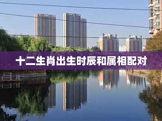 十二生肖出生时辰和属相配对
