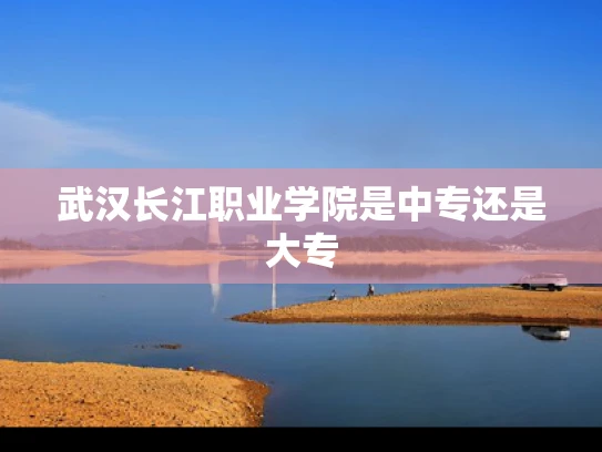 武汉长江职业学院是中专还是大专