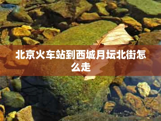北京火车站到西城月坛北街怎么走