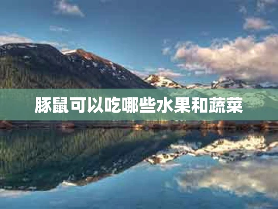 豚鼠可以吃哪些水果和蔬菜