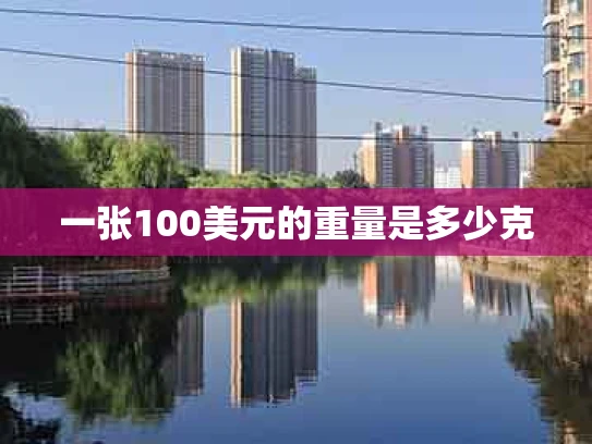 一张100美元的重量是多少克