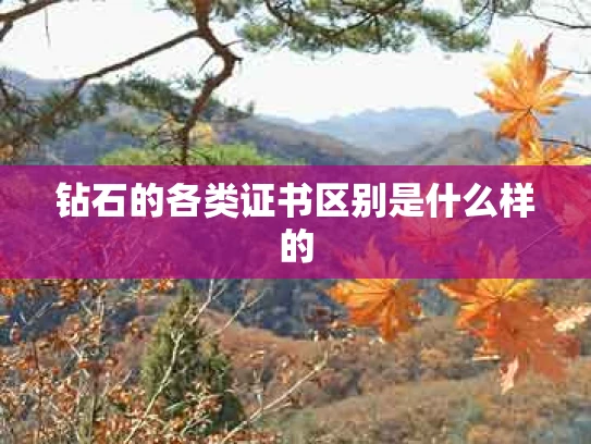 钻石的各类证书区别是什么样的