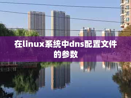 在linux系统中dns配置文件的参数