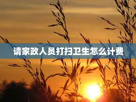 请家政人员打扫卫生怎么计费