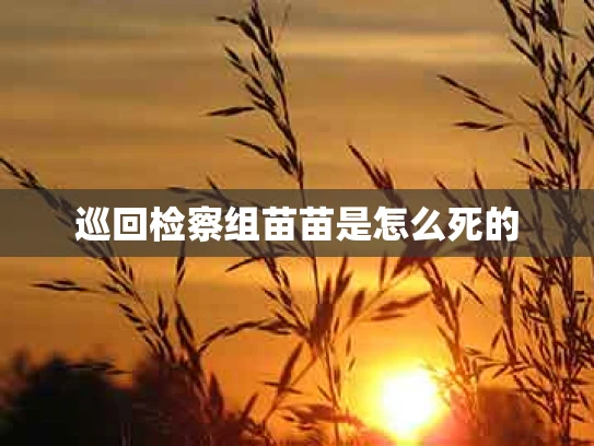 巡回检察组苗苗是怎么死的