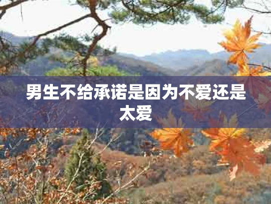 男生不给承诺是因为不爱还是太爱