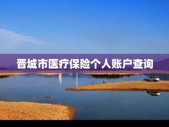 晋城市医疗保险个人账户查询