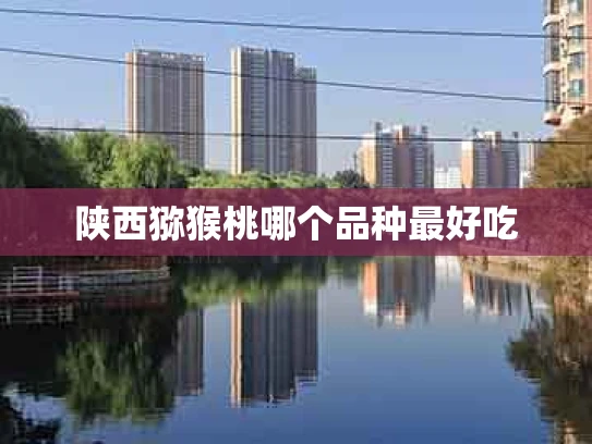 陕西猕猴桃哪个品种最好吃