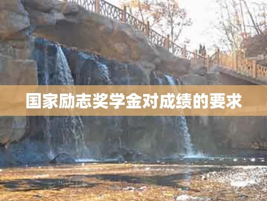 国家励志奖学金对成绩的要求