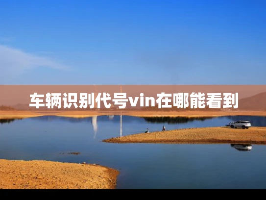 车辆识别代号vin在哪能看到