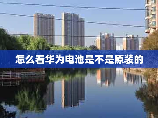 怎么看华为电池是不是原装的