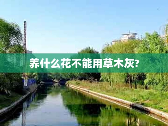 养什么花不能用草木灰?