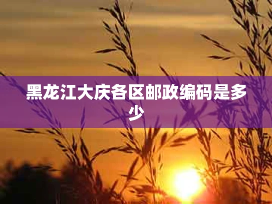 黑龙江大庆各区邮政编码是多少