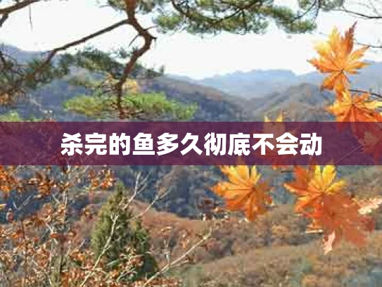 杀完的鱼多久彻底不会动