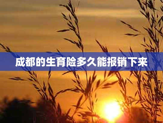 成都的生育险多久能报销下来