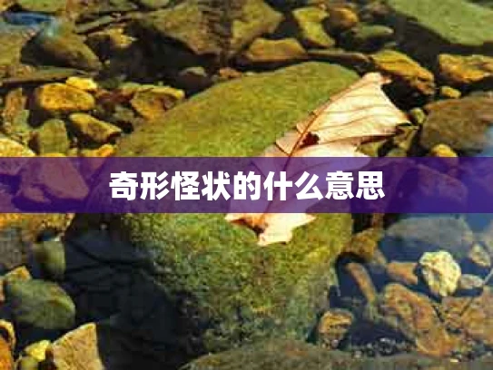 奇形怪状的什么意思