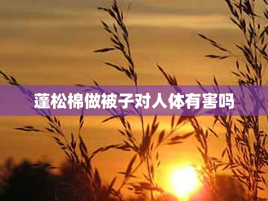 蓬松棉做被子对人体有害吗
