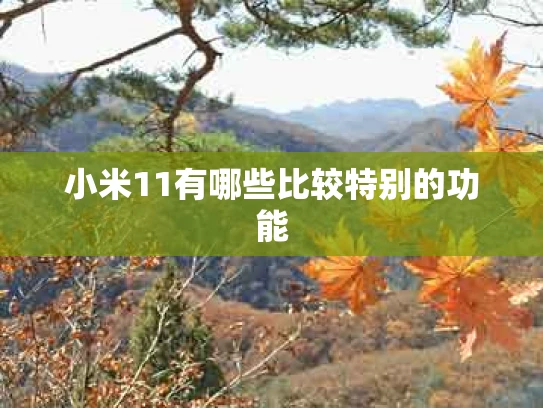 小米11有哪些比较特别的功能