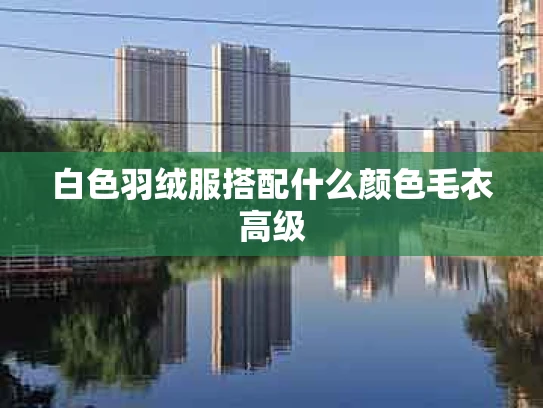 白色羽绒服搭配什么颜色毛衣高级