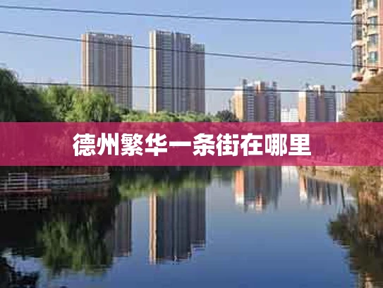 德州繁华一条街在哪里