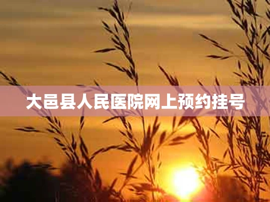 大邑县人民医院网上预约挂号