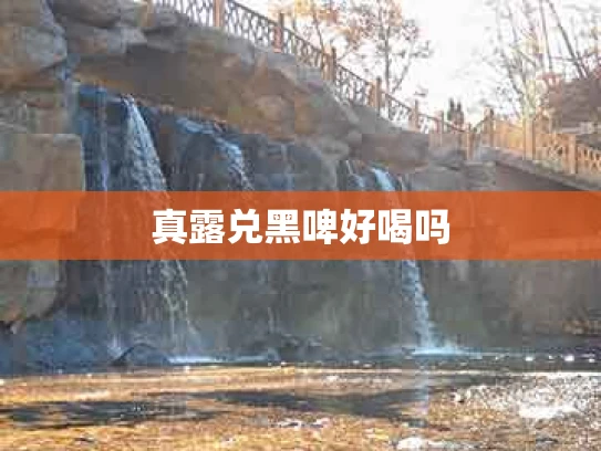 真露兑黑啤好喝吗
