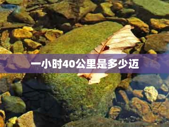 一小时40公里是多少迈