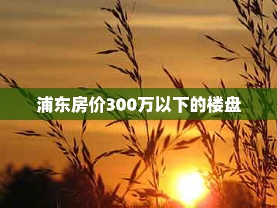 浦东房价300万以下的楼盘