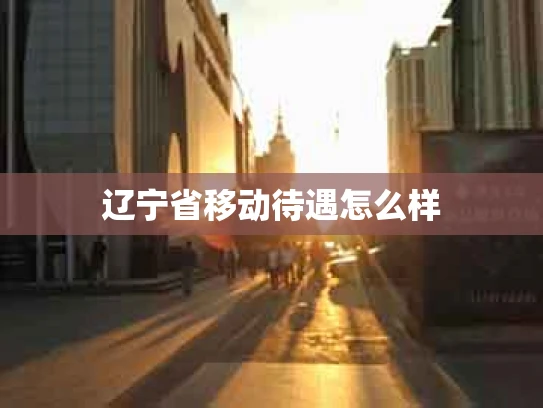 辽宁省移动待遇怎么样
