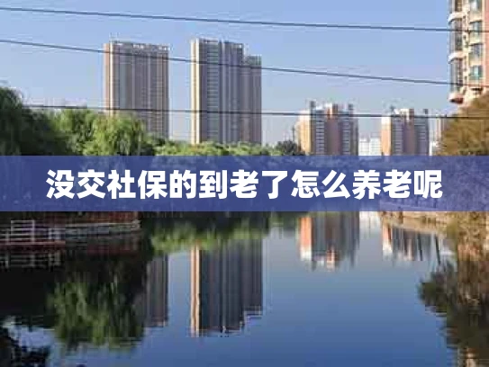 没交社保的到老了怎么养老呢