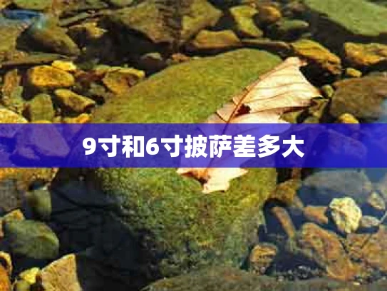 9寸和6寸披萨差多大