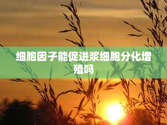 细胞因子能促进浆细胞分化增殖吗